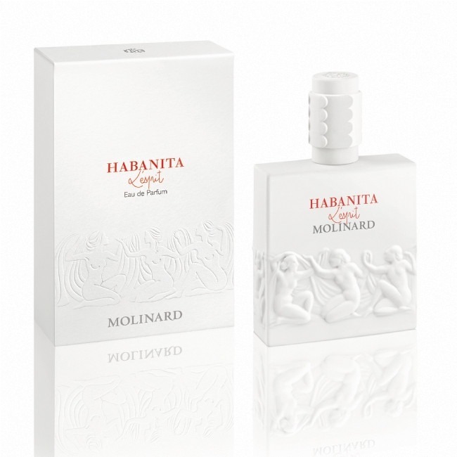 MOLINARD HABANITA L'ESPRIT
