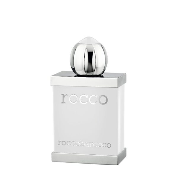 roccobarocco-rocco-black-uomo-tester-100-ml-edt-spray.jpg